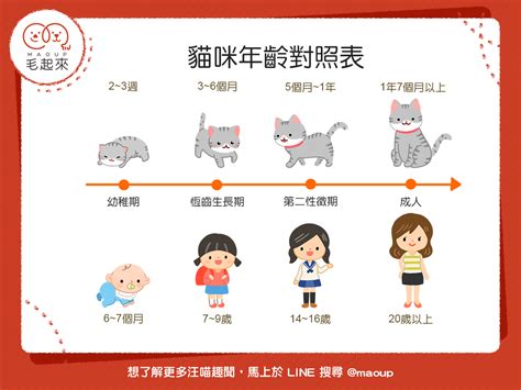 小四是幾歲|【小四是幾歲】小四是幾歲？香港、英國教育制度大比拼！從小學。